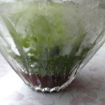 斎藤もちや - 宇治金時（引き茶とあずき）（2014/08）