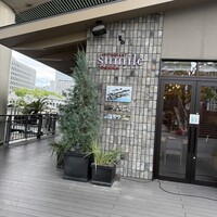スミレオオサカ - 