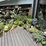 保木平珈琲 Murmure - 