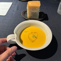 セルサルサーレ - 