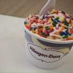 Häagen-Dazs® Shop Sheraton Princess Kaiulani - 