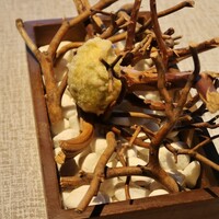 ヒカリヤ ニシ - 