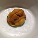 築地 藤田 - ウニ