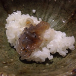 Tsukiji Fujita - 白魚。一口サイズのご飯を入れて貰いました(^O^)／