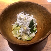 MOTORA  - 