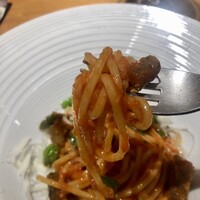 MOTORA  - 