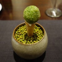 ラ モデスティ - 