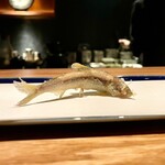 天ぷらとワイン しの - 