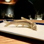 天ぷらとワイン しの - 