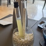 プレゼンテ スギ - 