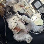 ブラウンサウンドコーヒー - 