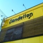 ダンデライオン　ドーナツ＆パンケーキ - 