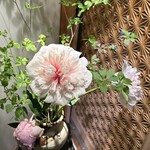 とん久 - 入り口の芍薬