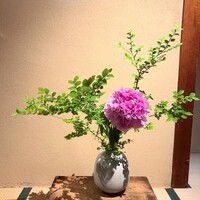 京味 もと井 - 
