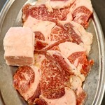 ホルモンハジメ - 和牛タンカルビ(塩)