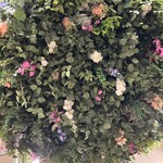 FLORAL VALLEY MOOMIN CAFE - 