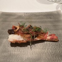 カンテサンス - 