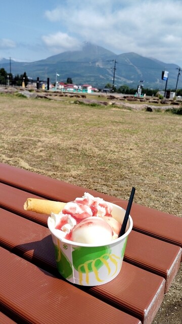 磐梯スノードックス（BANDAI SNOW DOGS） - 猪苗代（ソフトクリーム）の写真
