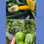 ビストロボンノ - 