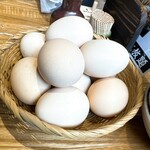 炭火焼鳥わだち - 生卵・ご飯・お味噌汁はお代わり自由