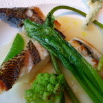 レストラン・ジョルジュマルソー - 【唐津産 -活締め神経抜き- オコゼのポワレ、唐津産アサリの旨味と白ワインのソース】