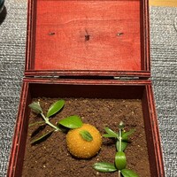 しまなみふれんち Murakami - 