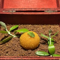 しまなみふれんち Murakami - 