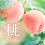 Bar Espanol LA BODEGA - 