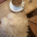 スケッチブック - 