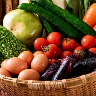 【産地直送野菜】提携農家から仕入れた有機野菜