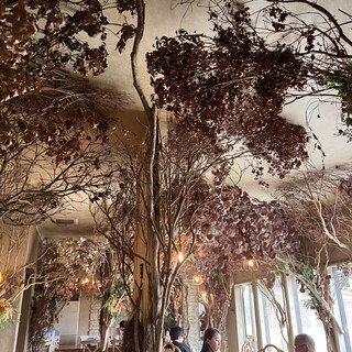 イタリア料理 ラ・フレスカ_2