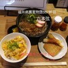 六本弦