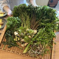 出羽屋 - 