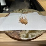 天冨來 ゆきむら - 