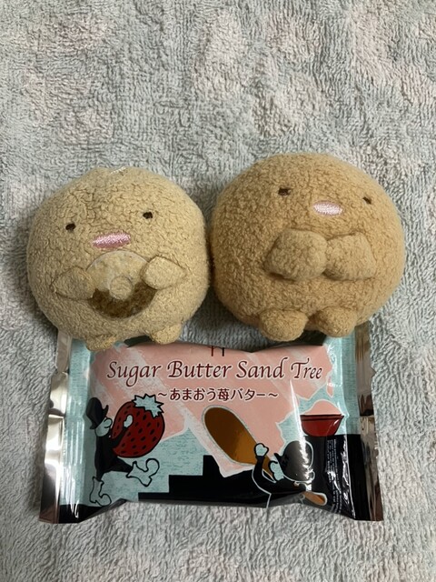 Sugar Butter no Ki Hakata Hankyu Ten - Hakata/Sweets (Western