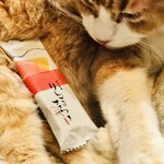 SPICY CURRY 魯珈 - 