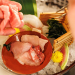 博多串焼と刺身 ココロザシ - 