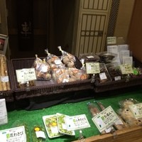 ヤマガタ サンダンデロ - 2014.04