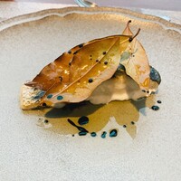 イリエスケープ - 