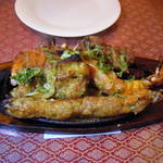 アカーシュ - （2010年2月）