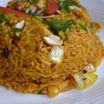 アカーシュ - チキン・ビリヤニ（2010年7月）