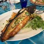 トラットリア ピッツェリア polipo - 