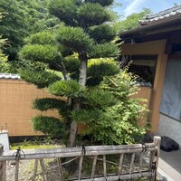 かちゃ料理 むとう - 