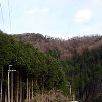 ろあん松田 篠山店 - 