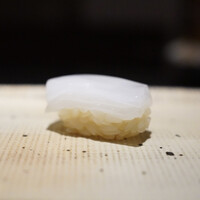 鮨 西崎 - アオリイカ