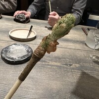 レヴォ - 