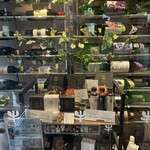 焼肉名匠 山牛 - 日本酒やワインが