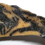 秋田ふるさと館 - まち子姉さんのごま餅 分かり難いですが、引っ張ると伸びます