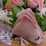 鴨川港　魚魚組 - 