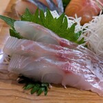 鴨川港　魚魚組 - 